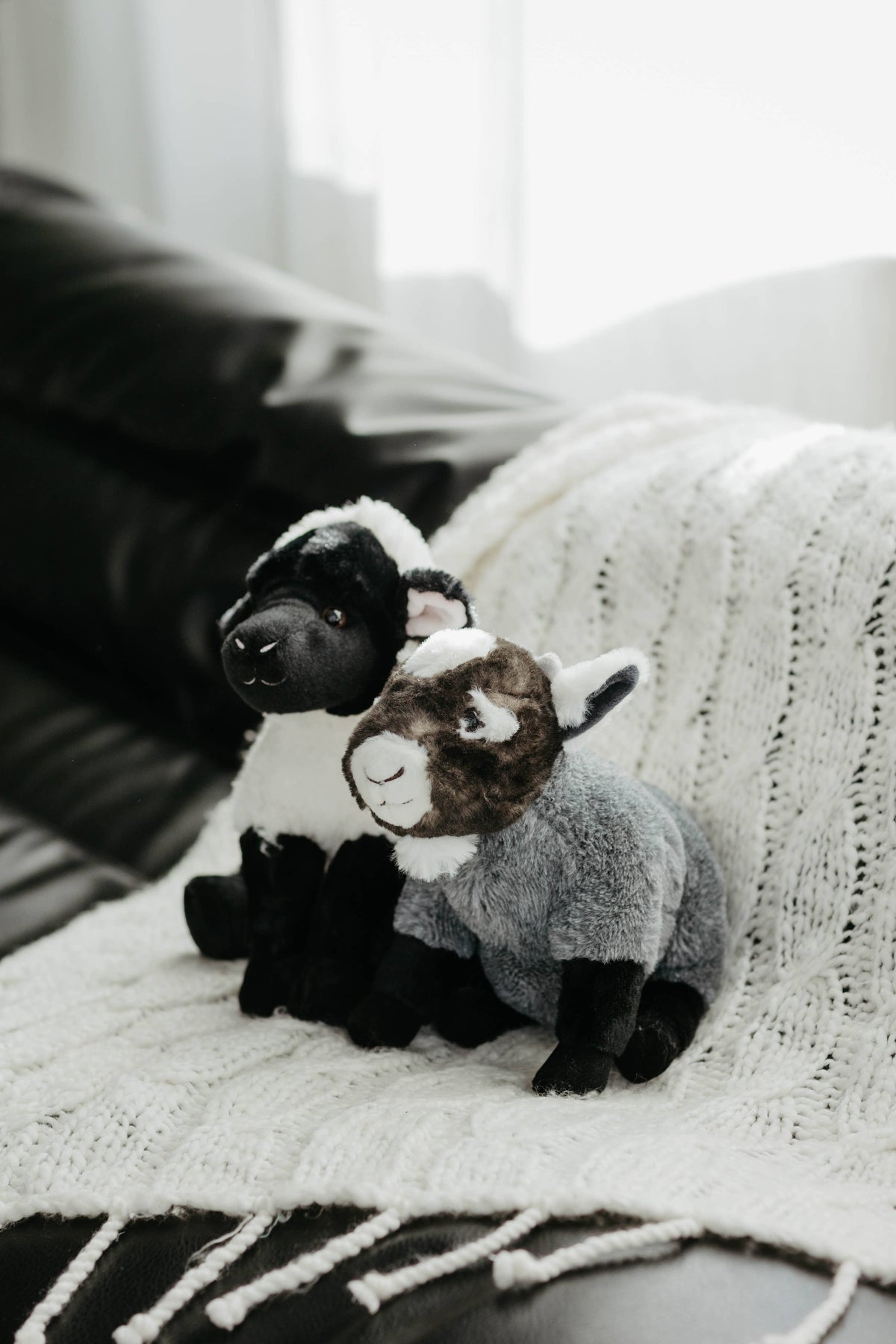 Zoologee 12" (28cm) Wild Onez Lamb / Sheep