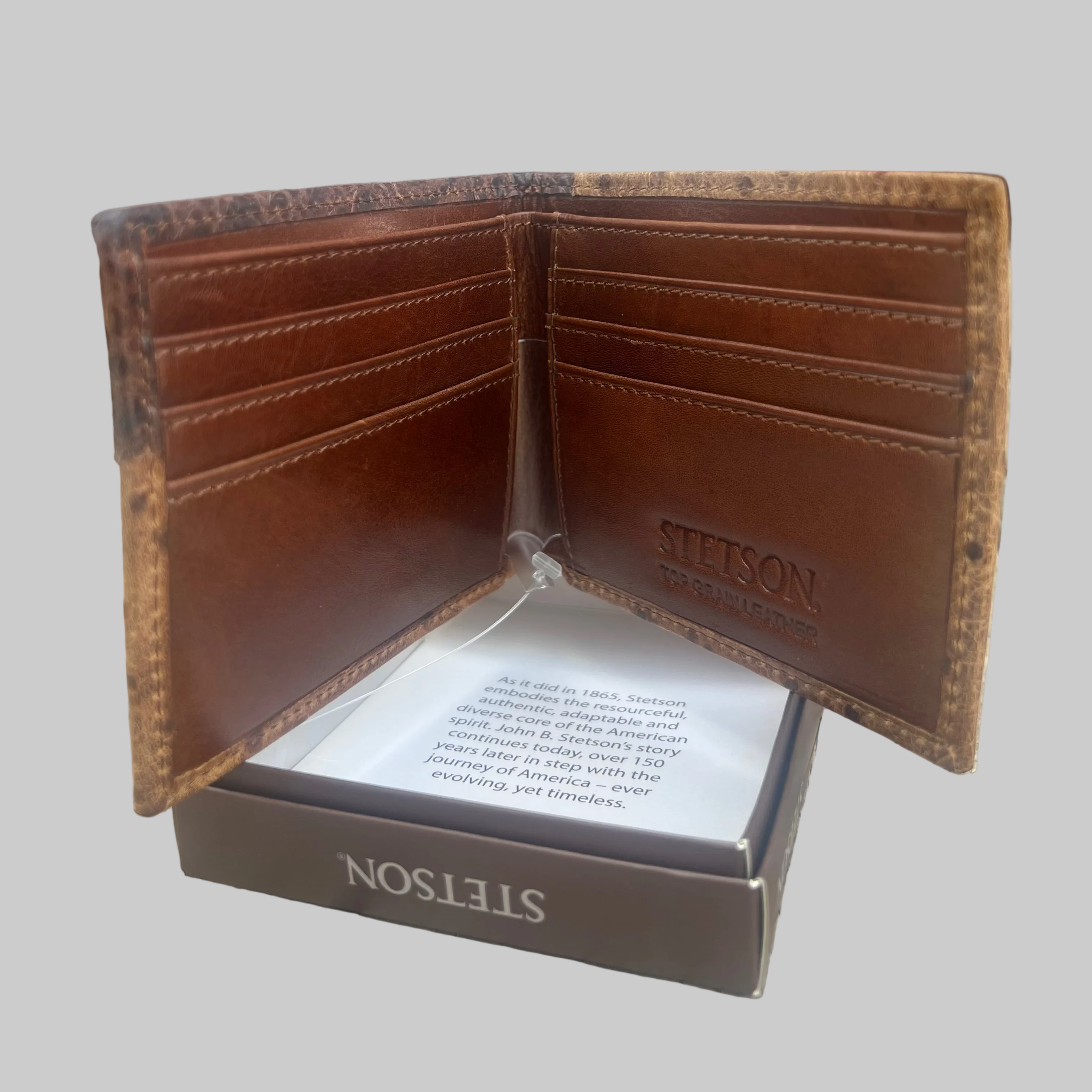 Men's Bi Fold Brown Stetson Wallet