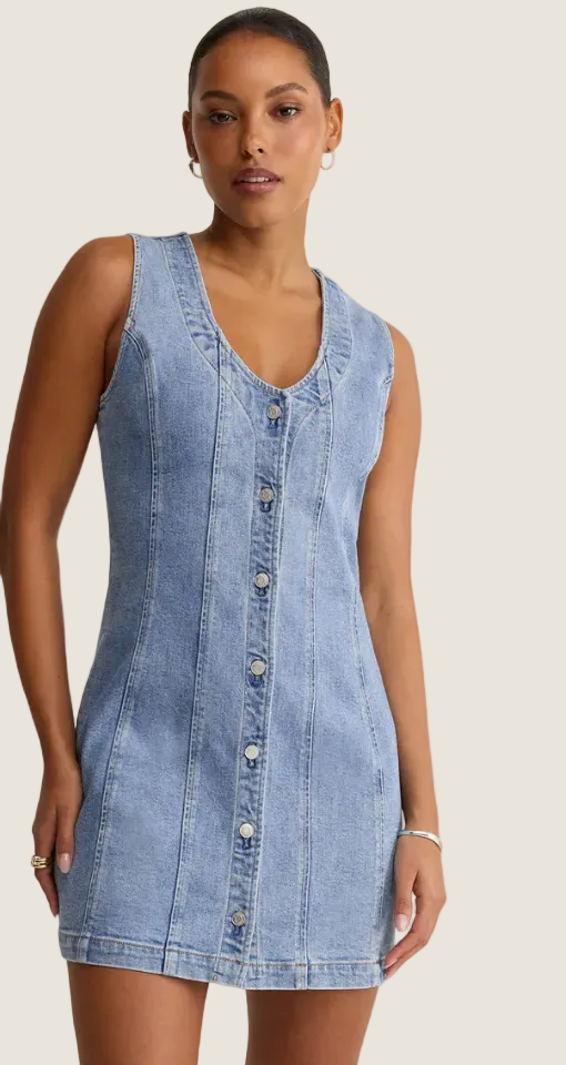 Z Supply Jolie Denim Mini Dress
