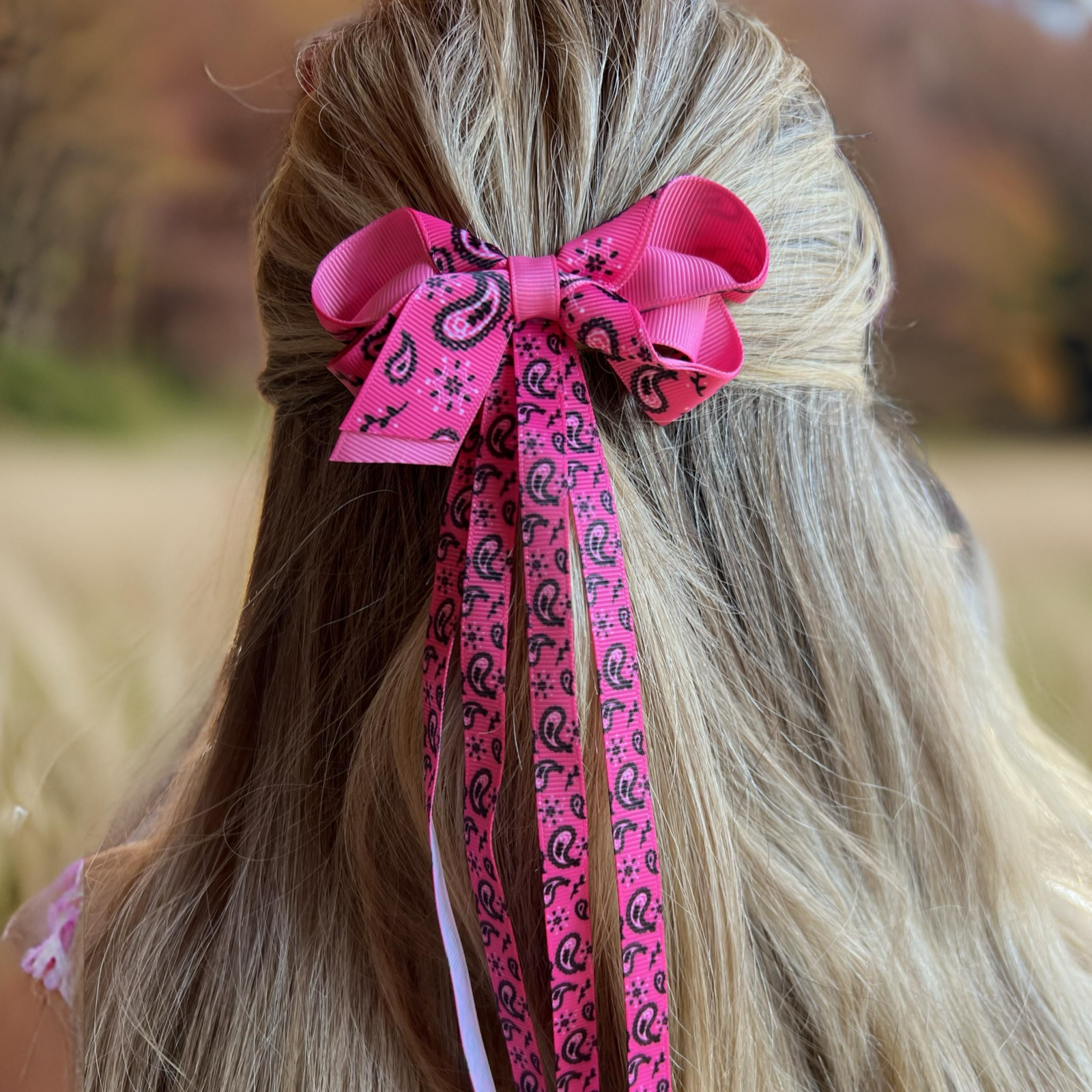 Westrian International Western Paisley Bandana Print Hair Bow Clip