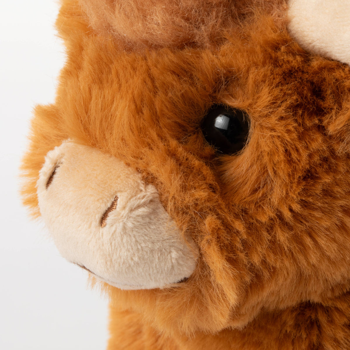 Zoologee Wild Onez Highland Cow  6" (15cm)