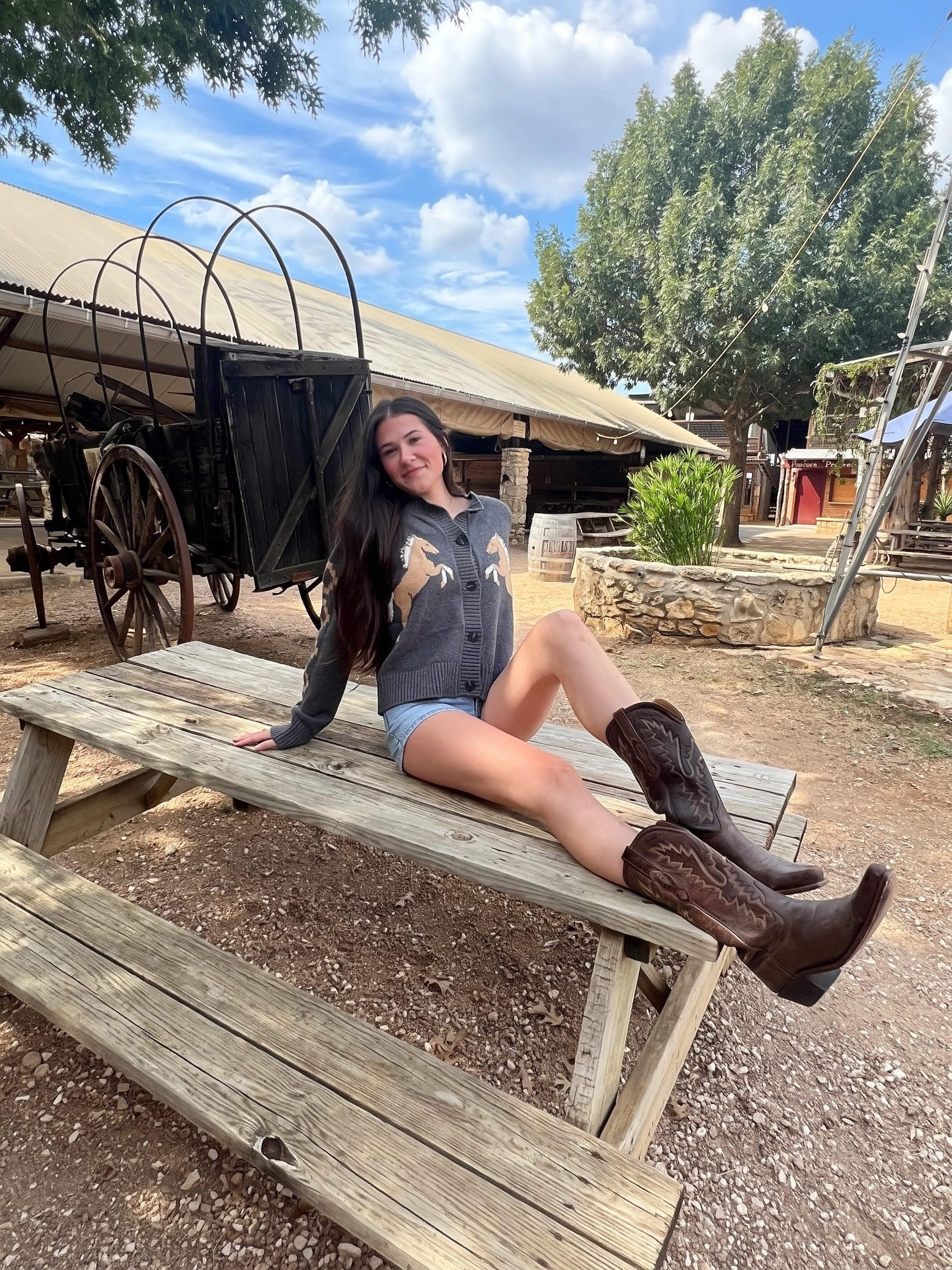 Stetson Gray Horse Cardigan