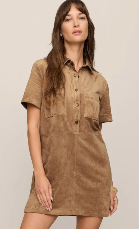 Z Supply Leone Suded Mini Dress