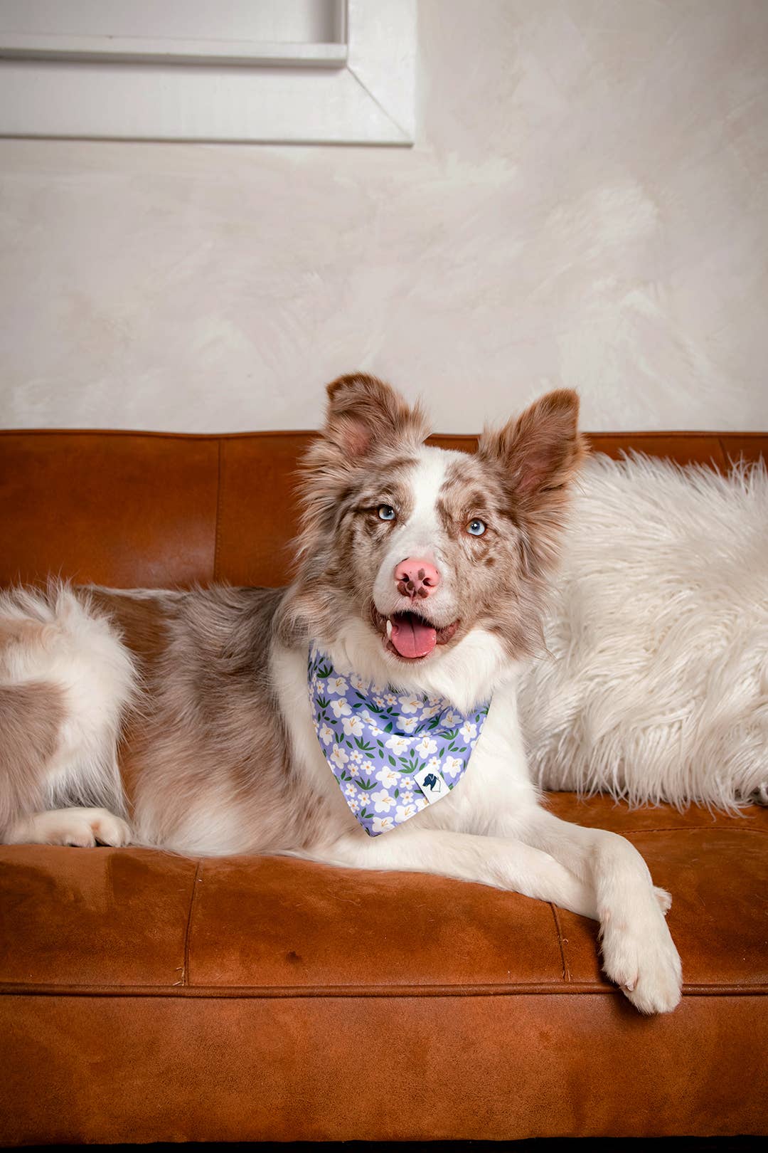 Lavender Dog Bandana